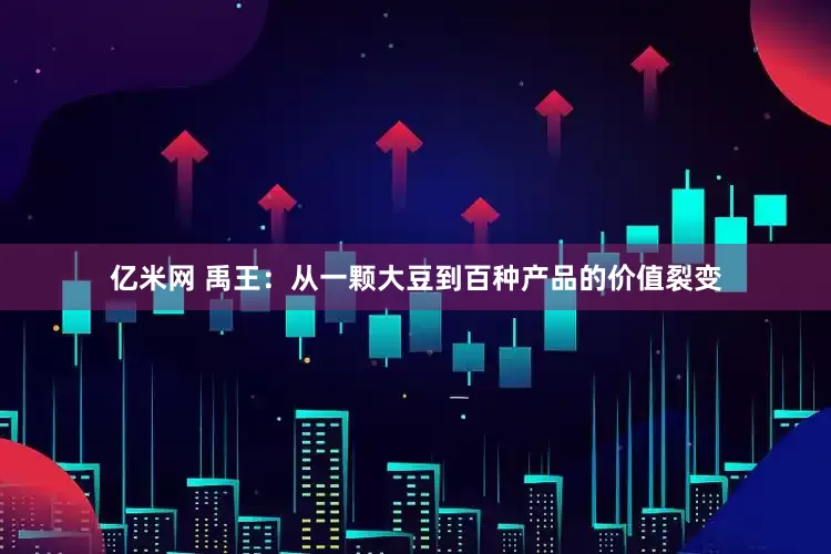 亿米网 禹王：从一颗大豆到百种产品的价值裂变