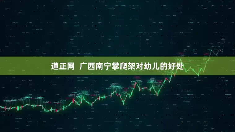 道正网  广西南宁攀爬架对幼儿的好处