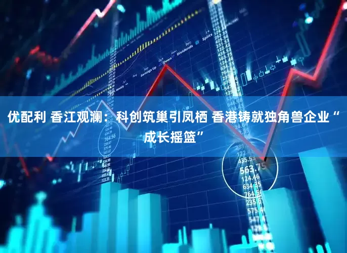 优配利 香江观澜：科创筑巢引凤栖 香港铸就独角兽企业“成长摇篮”