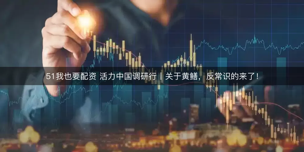 51我也要配资 活力中国调研行丨关于黄鳝，反常识的来了！